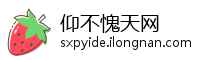 仰不愧天网